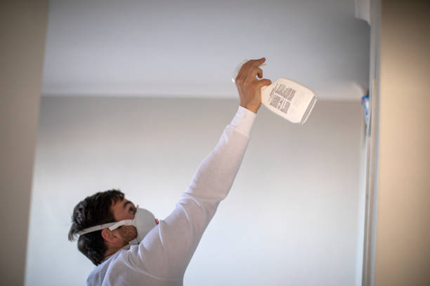 Best Attic Mold Remediation in Shougal, WA